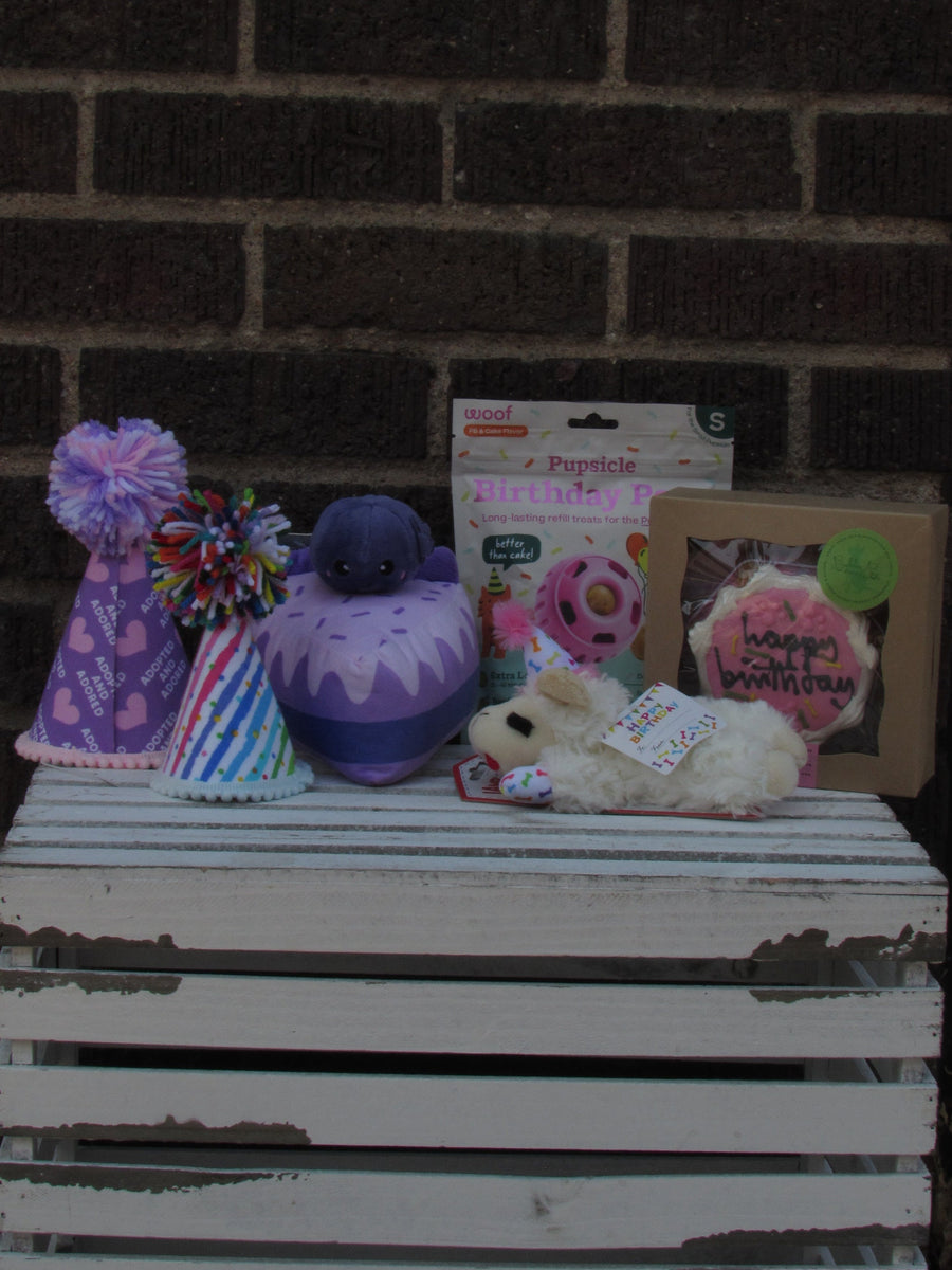 Party Time Lily's Baths and Biscuits