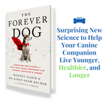 Help Your Canine Live Younger, Healthier, and Longer