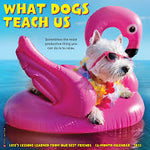 What Dogs Teach Us 2025 Wall Calendar