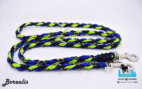 Leashes By Liz Multipurpose Leash for Small Breeds, Borealis, 6ft