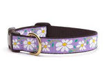 Up Country Daisy Collar, L, 15-21"