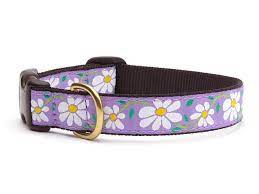 
            
                Load image into Gallery viewer, Up Country Daisy Dog Collar, S, 9-15in., Narrow
            
        
