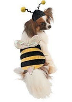 Halloween Bumble Bee Costume, M/L, 14-24"