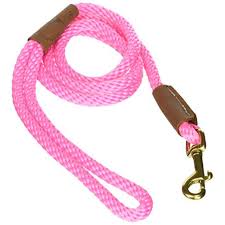 
            
                Load image into Gallery viewer, Mendota 1/2&amp;quot; x 6&amp;#39; Snap Leash, Hot Pink
            
        