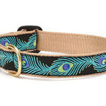 Up Country Peacock Feathers Dog Collar, S, Narrow
