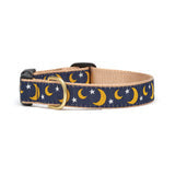 
            
                Load image into Gallery viewer, Up Country Stella &amp;amp; Luna Dog Collar, M
            
        