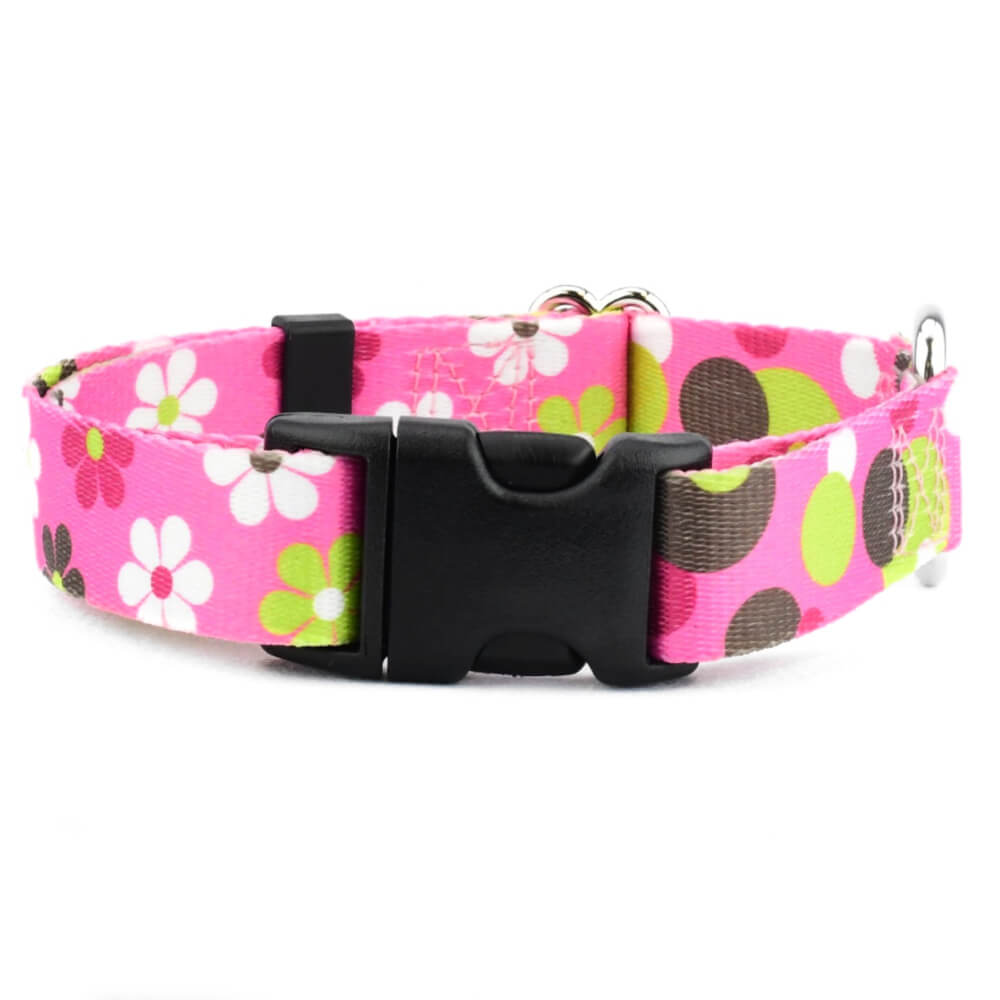 Daisy Dot Buckle Collar, Pink, S, 10-14"