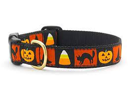 Up Country Halloween Dog Collar, L