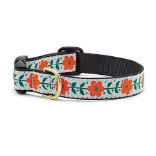
            
                Load image into Gallery viewer, Up Country Orange You Pretty Dog Collar, M
            
        