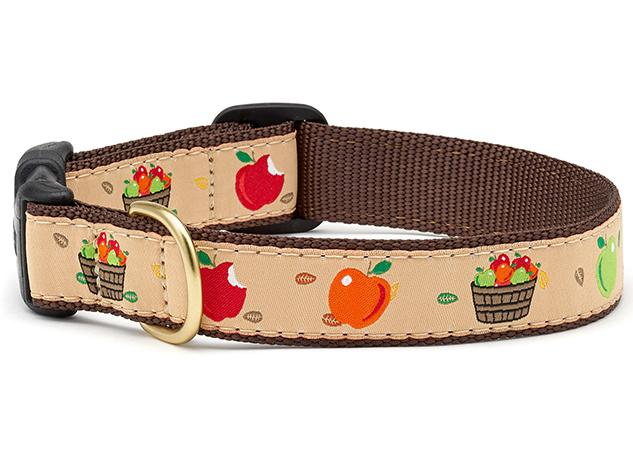 Up Country Apple of my Eye Collar, Large