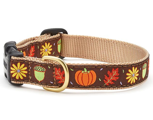 Up Country Harvest Time Dog Collar, S, 9-15in., Narrow