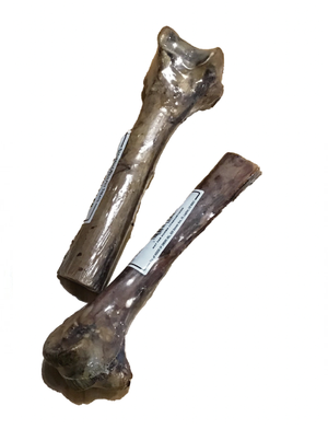 
            
                Load image into Gallery viewer, Bone - Naturally Wild Ostrich Half Leg
            
        