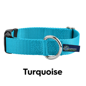 Turquoise Buckle Collar, Turquoise, 2XL, 26-34"
