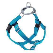Freedom Harness, Turquoise, 28-32” chest, L